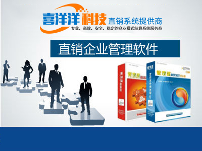 四維一體 軟件開發、技術開發、制度設計與企業營銷策劃融合的咨詢服務體系